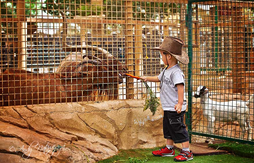 Dubai Zoo